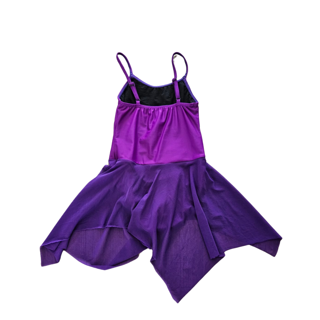 Purple leotard & Skirt