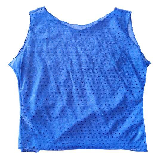 Blue Sequin Top